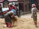 Women threshing grains in the alleys near Durbar Square