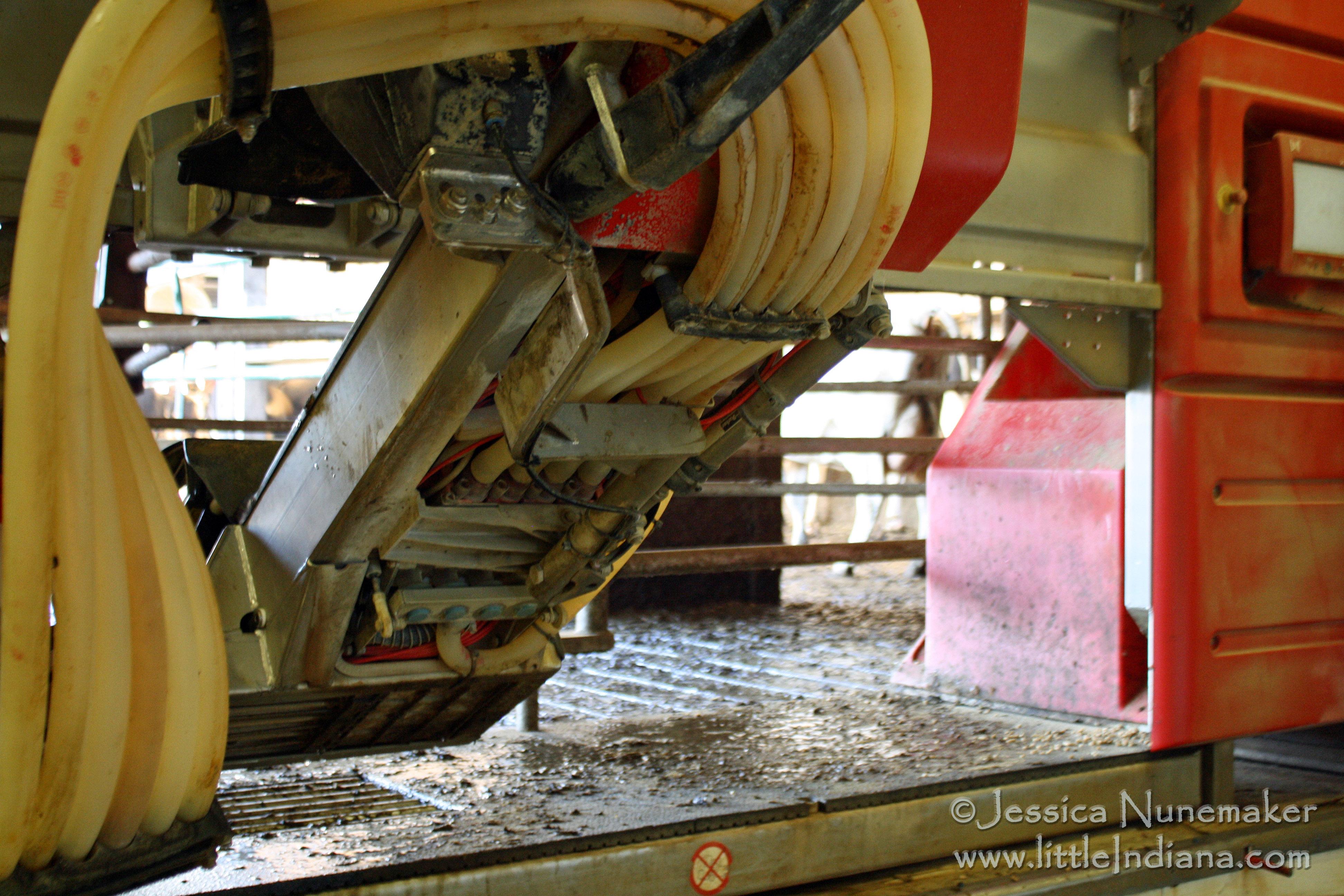 Jones Robotic Dairy in Star City, Indiana