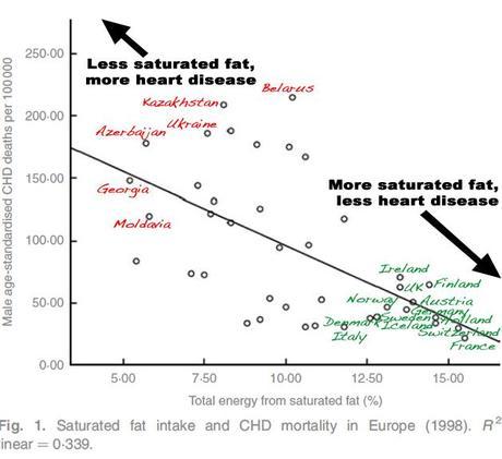 Stunning: Saturated Fat and the European Paradox