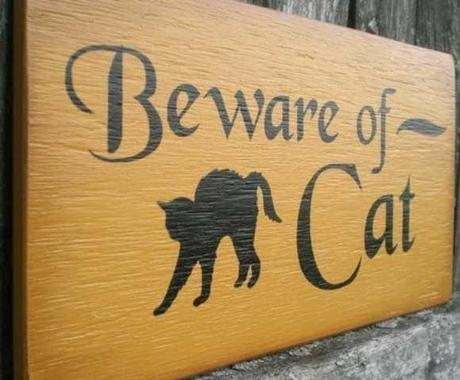 Bad Kitties: The Top 10 'Beware Of Cat” Signs