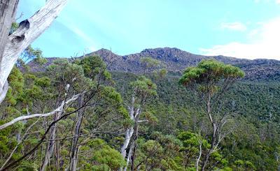 Mt Picton - Stenes Tarn Track