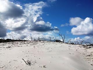 SW Tasmania 2011 - Farmhouse Ck, Arthurs Ranges, Port Davey Track, South West Cape, South Coast Track, Southern Ranges