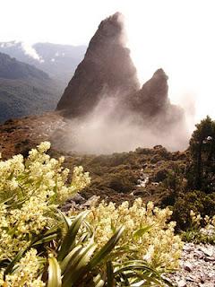 SW Tasmania 2011 - Farmhouse Ck, Arthurs Ranges, Port Davey Track, South West Cape, South Coast Track, Southern Ranges