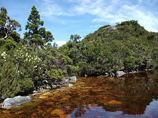 SW Tasmania 2010 - Huon Track, McKays Track, Arthurs Ranges, Farmhouse Creek