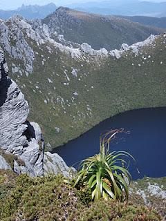 SW Tasmania 2010 - Huon Track, McKays Track, Arthurs Ranges, Farmhouse Creek