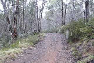 AAWT - Orroral Ridge to Kiandra