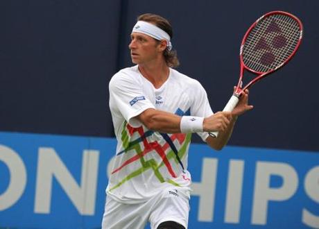 Police probe David Nalbandian kick