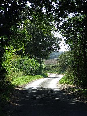 English: Country Road Country road near to Rus...