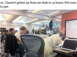 Beast, the workaholic