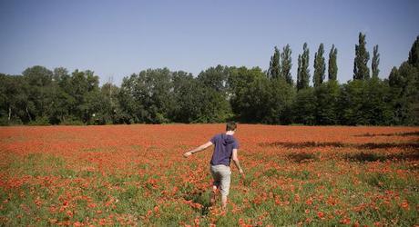 Provence Roadtrip (in Photos)