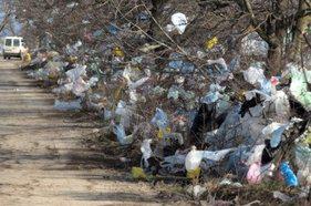 reusable bags