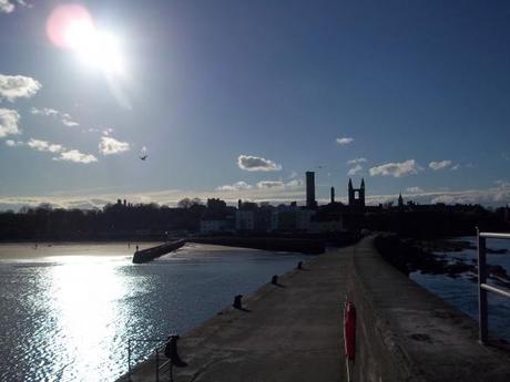 A year in photos, st andrews, sunlight