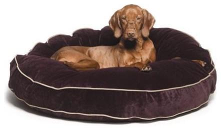 Choosing the Right Bed for Your Dog