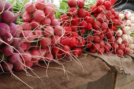 Wilder Pictures: Farmer's Market, Vollume II