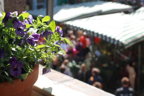 Columbia Flower Market