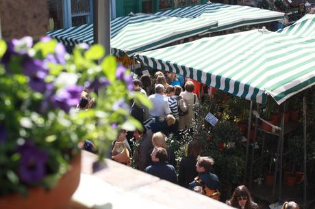 Columbia Flower Market