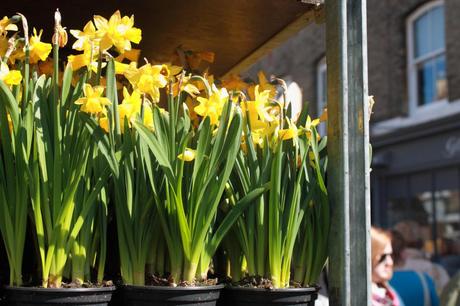 Columbia Flower Market