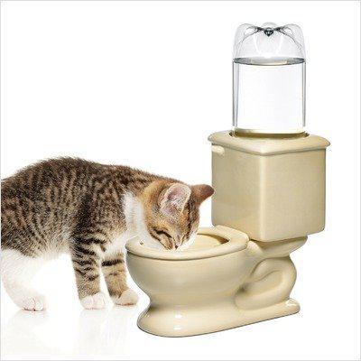 As you can see, cats can use the CSB Dog Toilet Bowl as well