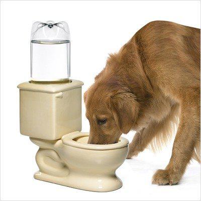 Doggy Toilet Water Bowl Flushes Away Your Pet's Thirst