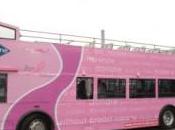Grey Line Sightsightseeing Buses York Pink