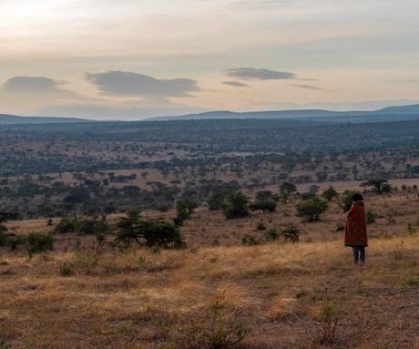 The 4 ‘P’s of luxury safaris in Kenya post-COVID-19