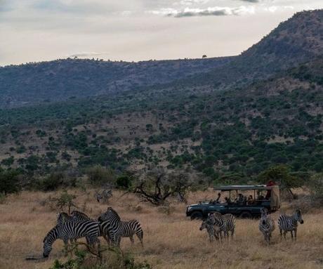 The 4 ‘P’s of luxury safaris in Kenya post-COVID-19