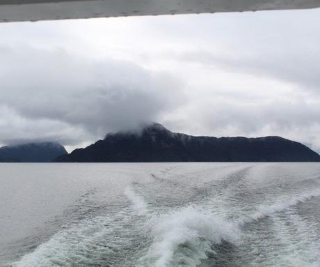 Why you should book a small overnight cruise in Doubtful Sound