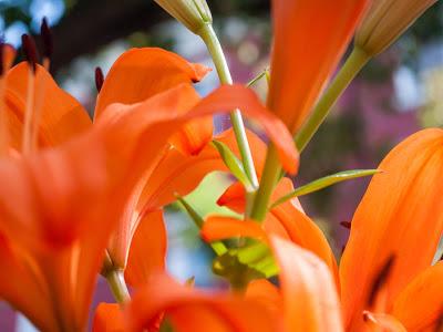 Helter skelter goes orange