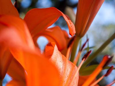 Helter skelter goes orange