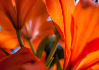 Helter skelter goes orange