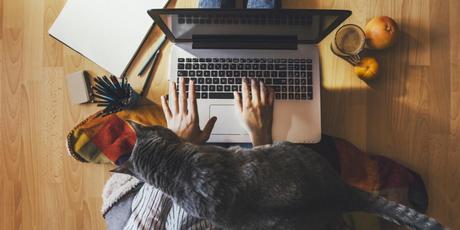 6 Essential Tips for Working From Home and Staying Sane