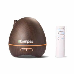  Best Humidifier India 2020