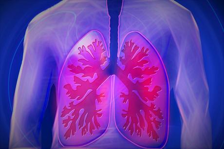 5 Ways to Keep Your Lungs Healthy and Whole