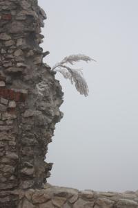 POEM: What Lies Beyond?