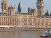 'Never Kill Job, Mate. Never Job'