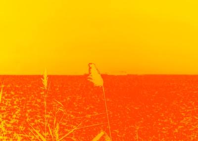 Friday Fotos: Whisps [Hallucinated City]