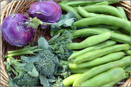 I got some Broad Beans after all!