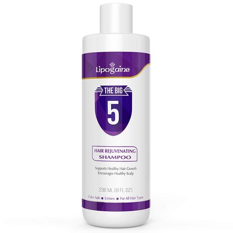 Lipogaine Big 5 All Natural Shampoo (price – Rs. 2950) 
