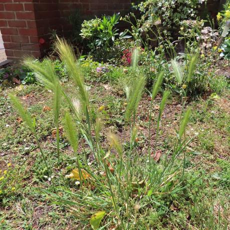 Six on Saturday 27/06/2020