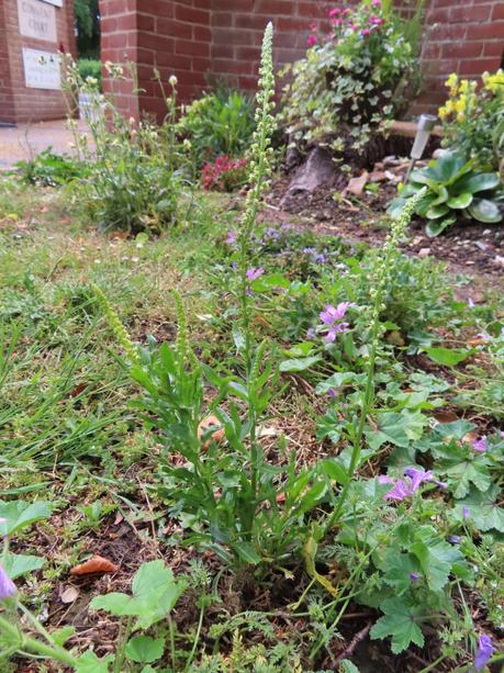 Six on Saturday 27/06/2020