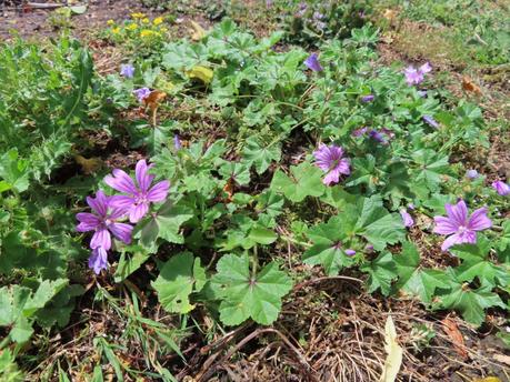 Six on Saturday 27/06/2020