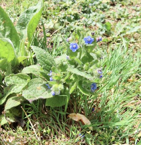 Six on Saturday 27/06/2020