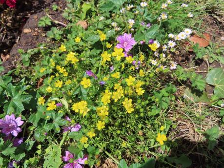 Six on Saturday 27/06/2020