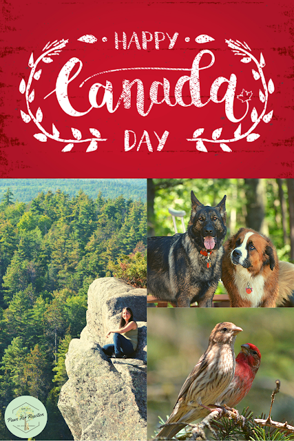 How to celebrate Canada Day during the global COVID-19 pandemic
