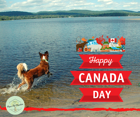 It's our day, eh: Happy Canada Day from Paws For Reaction