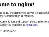 Install Nginx Server Debian Linux
