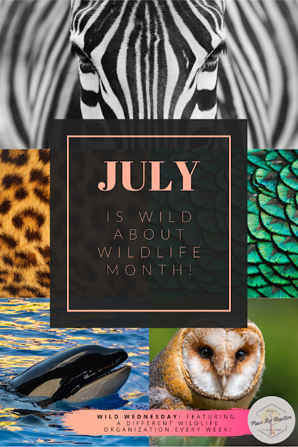 July is Wild About Wildlife Month: Introducing Wild Wednesday!