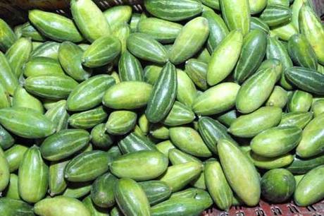 5 Health Benefits of pointed gourd/parwal