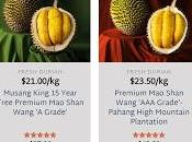 Durian: Best Durians Ever!
