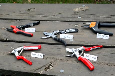 Hand Pruners For the Disabled